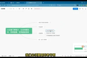小众女友哄睡项目：全方位快速变现指南