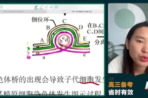 2024高三毛慧生物冲刺班：必修选修考点精讲