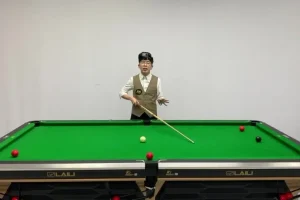 王孟南台球速成班：3个月精通一杆清