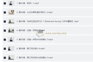 新版轻松学古筝教程（全61集）