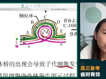 2024高三毛慧生物冲刺班：必修选修考点精讲
