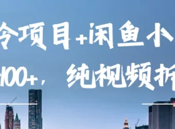 企业彩铃项目与闲鱼小样项目：纯视频拆解高利润玩法