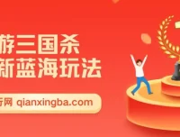 手游三国杀最新蓝海玩法，简单易上手