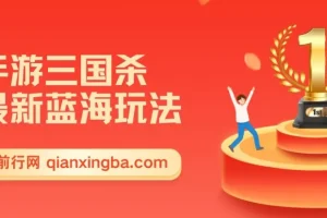 手游《三国杀》蓝海玩法教程，操作简单，零基础也能快速上手变现