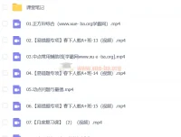 李爽初二数学A+春季班下课程