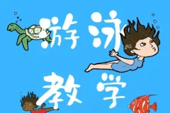 全面游泳教学视频全集