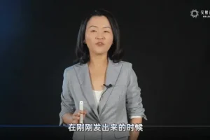 CCFP财税手册：财务人员进阶16讲