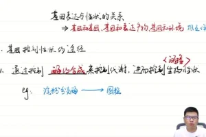 2024高三生物二轮复习冲刺资料