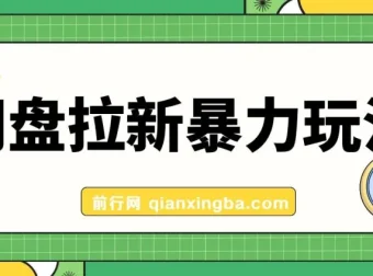 全网首发！简单录屏就能赚钱的网盘拉新玩法