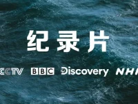 央妈推荐！小初高寒暑假必看纪录片合集