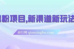 男粉项目：新渠道玩法，一部手机月入过万