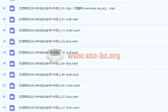 早道日语迷加老师日语中级上视频教程