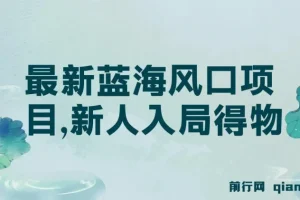 最新蓝海风口：新人入局得物变现项目