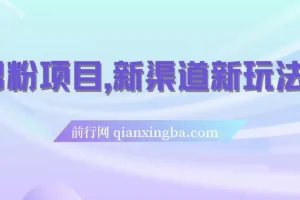 男粉项目：新渠道玩法，一部手机月入过万