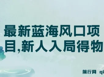 最新蓝海风口：新人入局得物变现项目