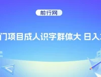 抖音快手成人识字冷门项目：日入2000+