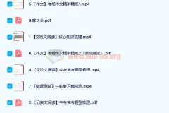 何铮铮三位一体中考语文读写满分班