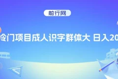 抖音快手成人识字冷门项目：日入2000+