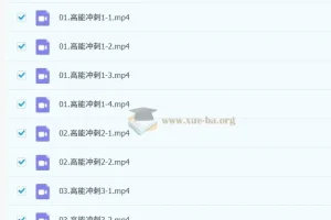周洋鑫考研数学冲刺班：核心考点高能冲刺