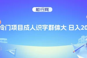 抖音快手成人识字冷门项目：日入2000+