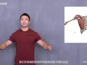 一介粗人x麦大湿：胸部训练从入门到精通课程