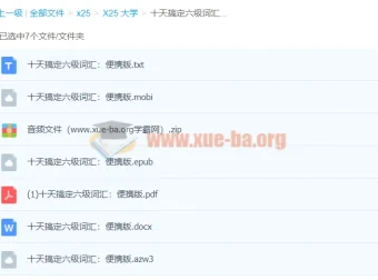 《十天搞定六级词汇：便携版》