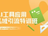 AI工具应用私域引流特训班：全流程掌握规则避坑、爆款选题与精准转化