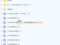 初三英语春季尖端班（王凯皎）