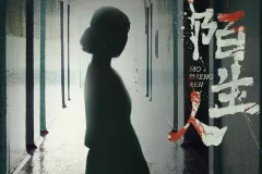 有声小说《陌生人》：陈研一首部女性悬疑力作，53集完结