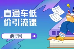 直通车低价引流课：系统化学习直通车精准投放（14节课）