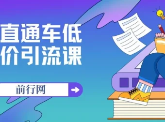 直通车低价引流课：系统化学习直通车精准投放（14节课）