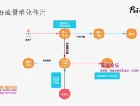 Pai爷20讲：从0到1掌握爆款内容运营技巧