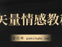 矢量动画情感教程：高点赞涨粉，适用于情感、思维、创业教育等赛道