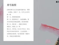 小红书宝宝起名副业实战课程：一键操作与专业软件助力