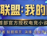 有声小说《英雄联盟：我的时代》426集精品有声剧完结
