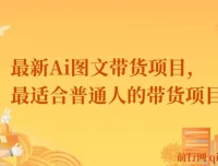 最新AI图文带货项目：普通人不露脸、不直播、不剪辑轻松带货搞钱