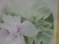 龚雪青工笔牡丹《牡丹小晴》3讲课程全集