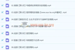 2024高二物理彭娟娟A+寒假班