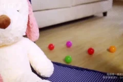 崔璀：高效自我管理实战课，实现职场与生活双赢