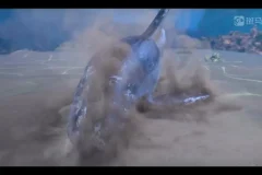 斑马百科：哺乳动物全解析——从特征到行为