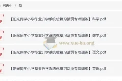 阳光同学小学毕业升学系统 小升初总复习活页专项训练