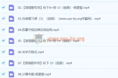 2024初三中考化学杨雯智A+秋季班（下）