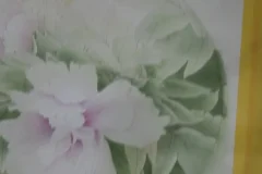 龚雪青工笔牡丹《牡丹小晴》3讲课程全集