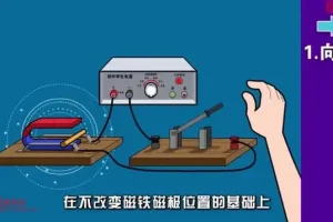 堂豆学物理启蒙动画课：300+知识点趣味教学，轻松掌握物理基础