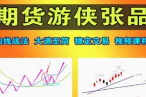 期货游侠张品：一条均线打天下交易系统课程