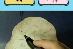 199节课程解密甲骨文：从象形字到汉字演变全解析