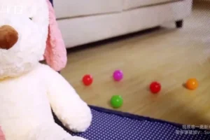 崔璀：高效自我管理实战课，实现职场与生活双赢