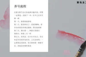 小红书宝宝起名副业实战课程：一键操作与专业软件助力