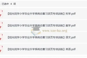 阳光同学小学毕业升学系统 小升初总复习活页专项训练