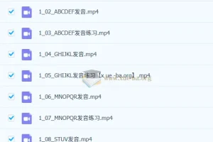 新东方小学英语自然音标拼读VIP通关班